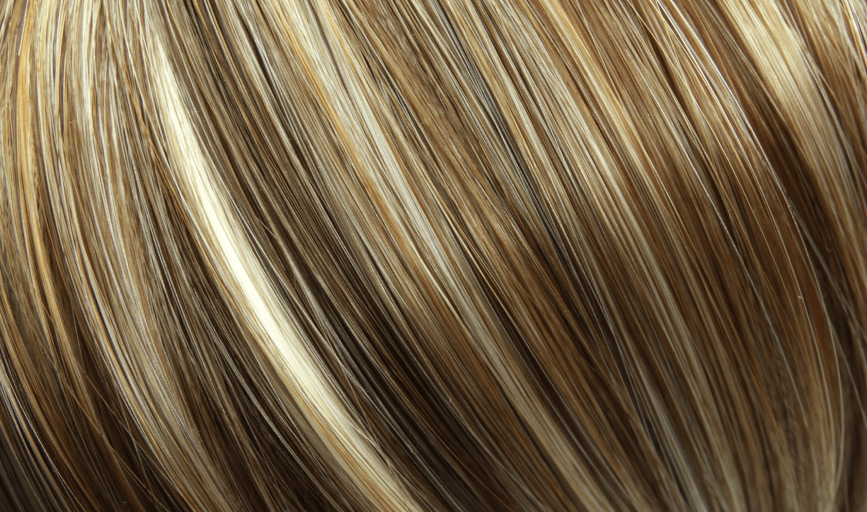 HIGHLIGHTS
